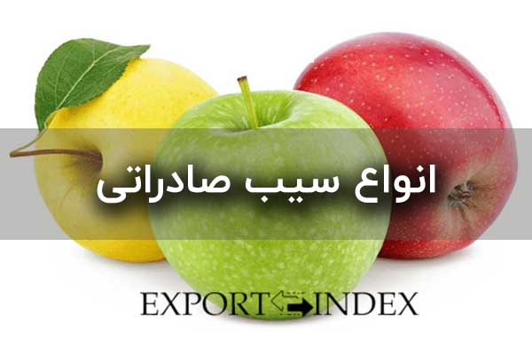 انواع سیب صادراتی