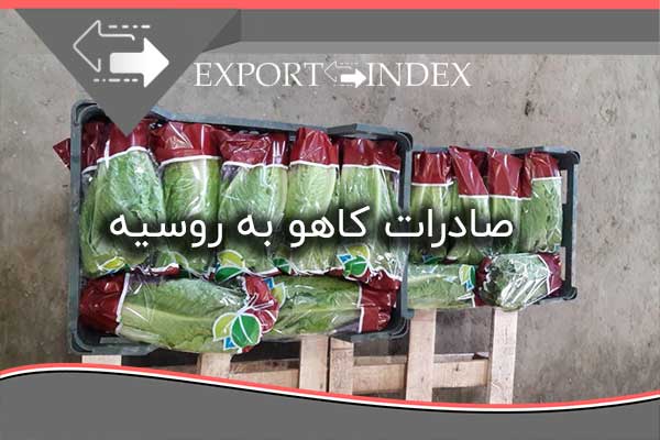 صادرات کاهو به روسیه