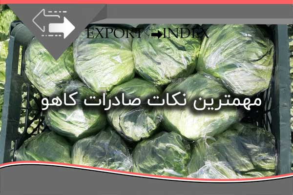 مهمترین نکات صادرات کاهو